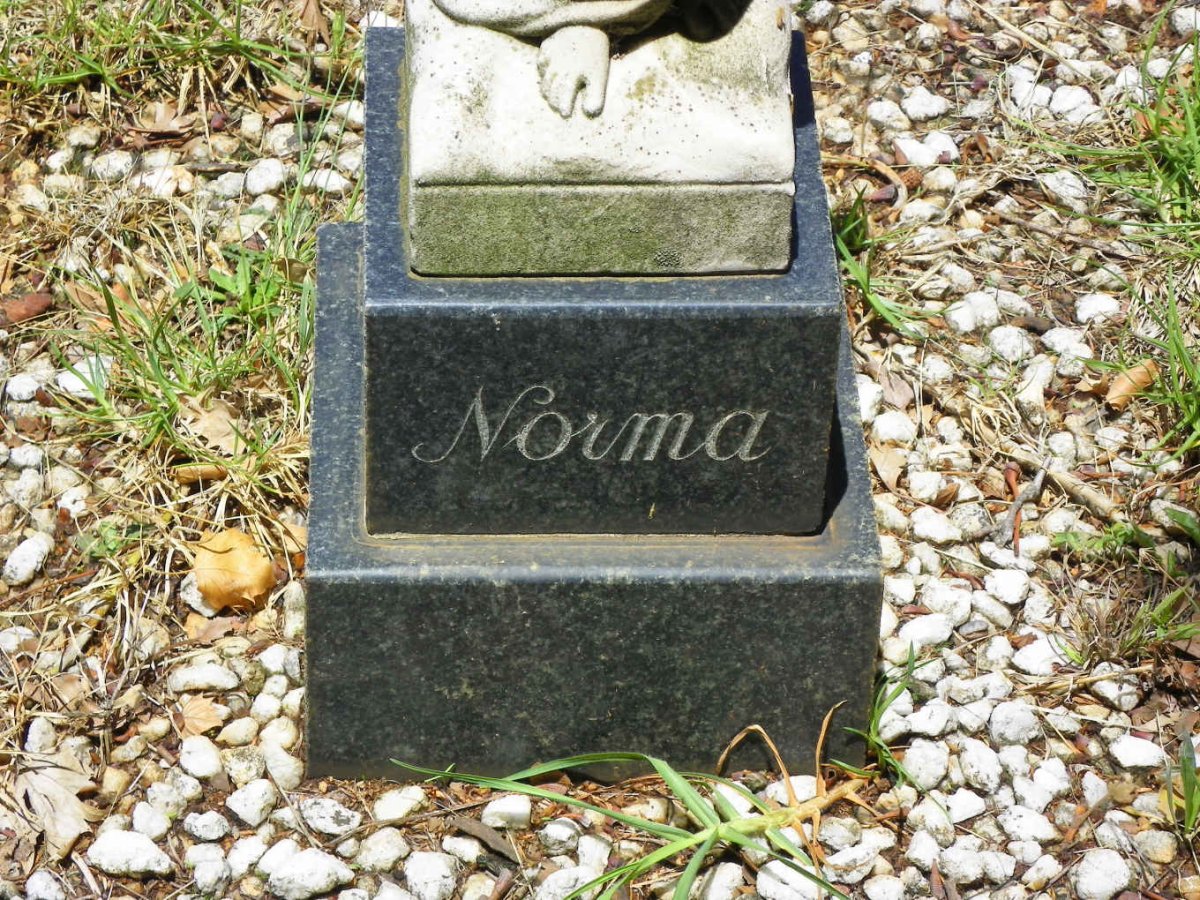 FRANCIS Albert Willis &amp; Doris Joan :: FRANCIS Norma