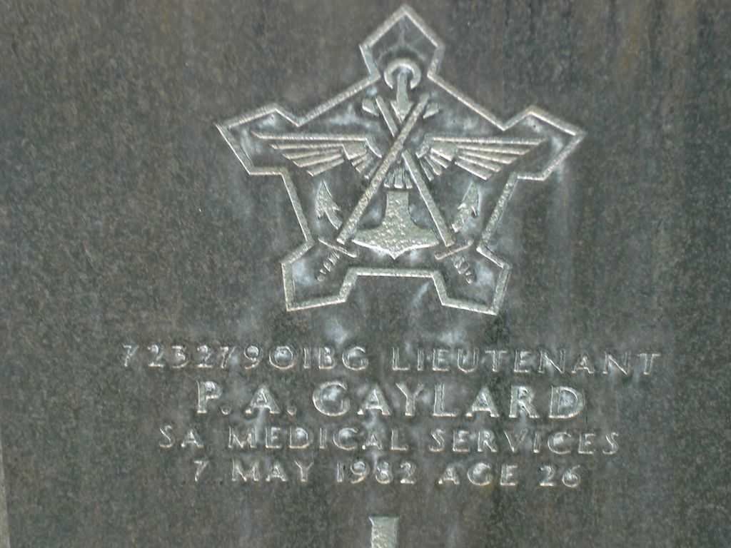 GAYLARD P.A. -1982