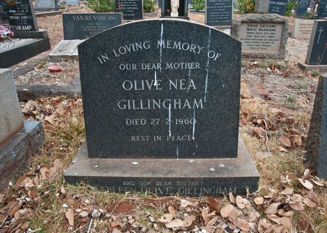 GILLINGHAM Olive Nea -1960 :: GILLINGHAM Kathleen Olive