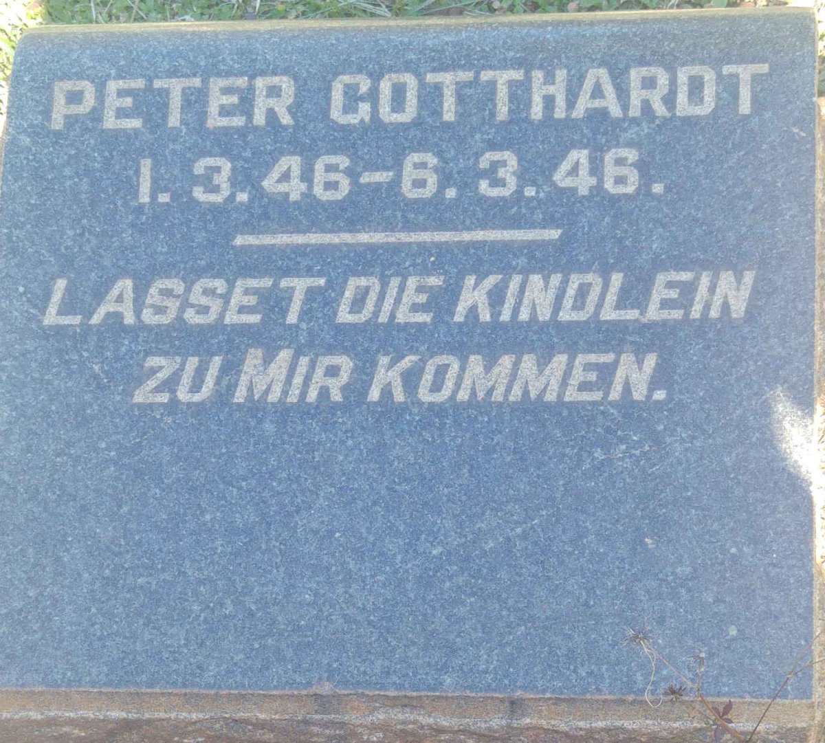GOTTHARDT Peter 1946-1946