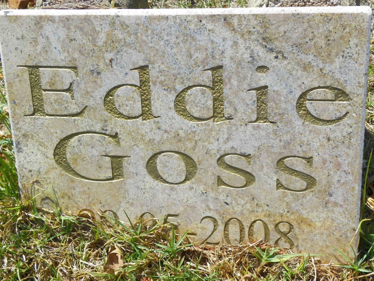 GOSS Eddie -2008