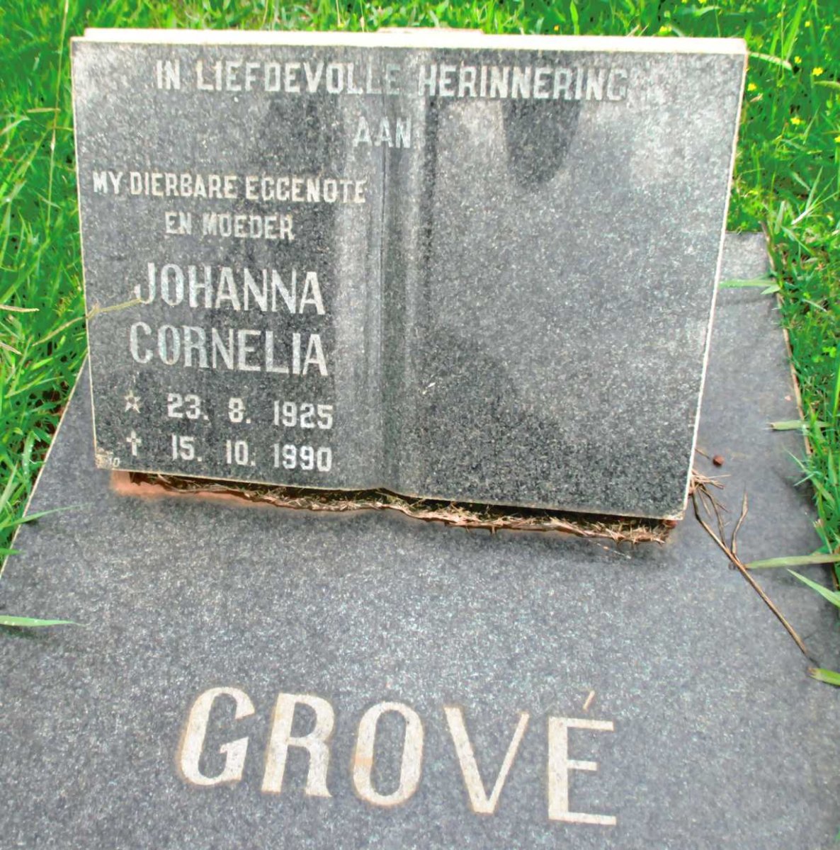 GROVE Johanna Cornelia 1925-1990