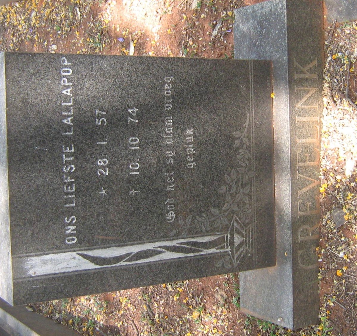 GREVELINK Lallapop 1957-1974