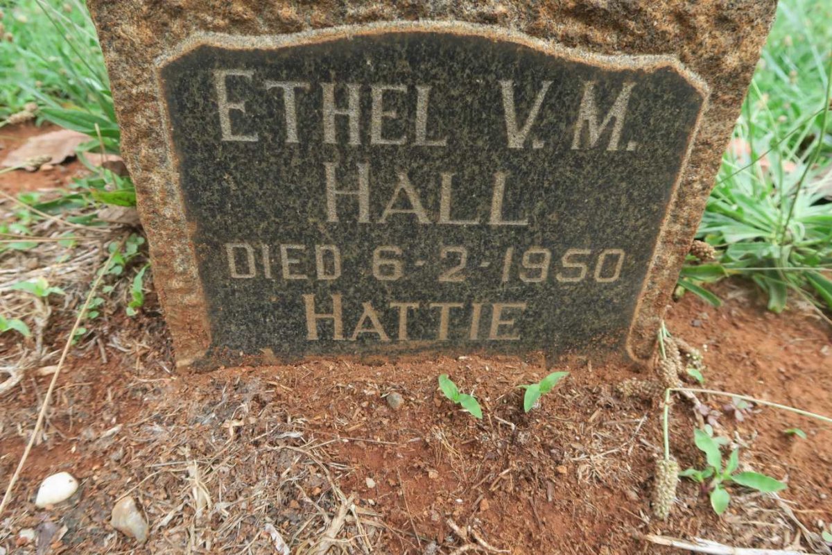 HALL Ethel V.M. -1950