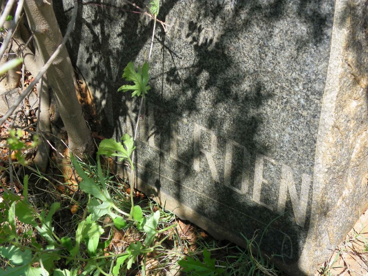HEERDEN Emily Elizabeth, van 1919-1960