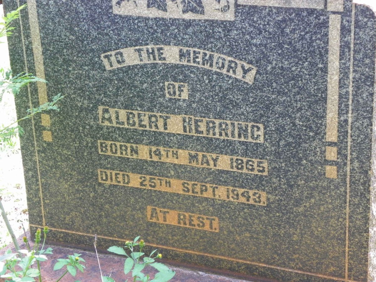 HERRING Albert 1865-1943