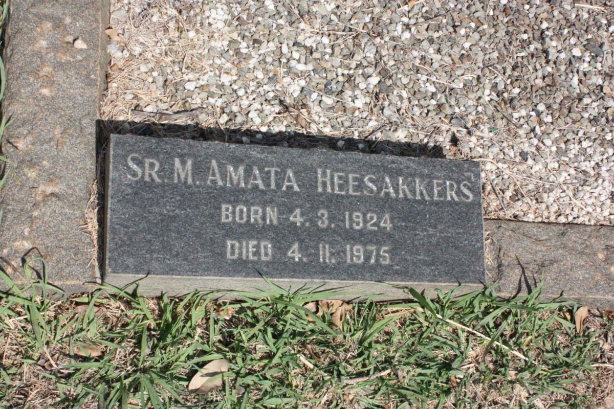HEESAKKERS Amata 1924-1975