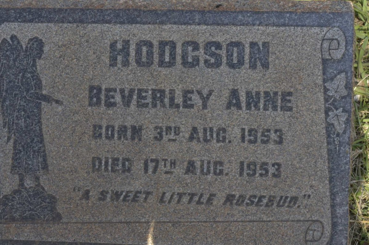 HODGSON Beverley Anne 1953-1953