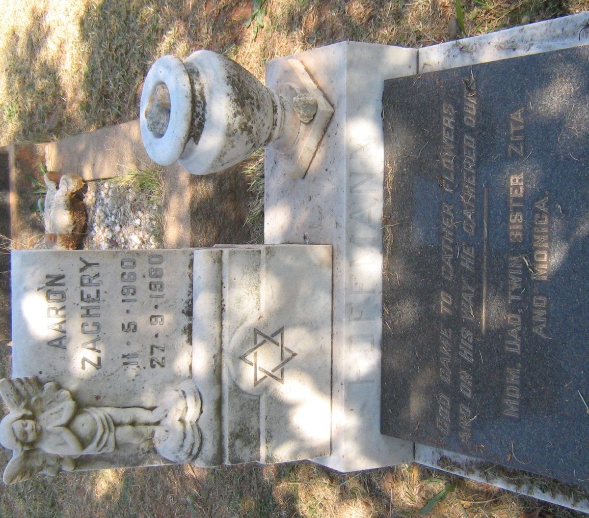 HOFFMAN Aaron Zachery 1960-1960