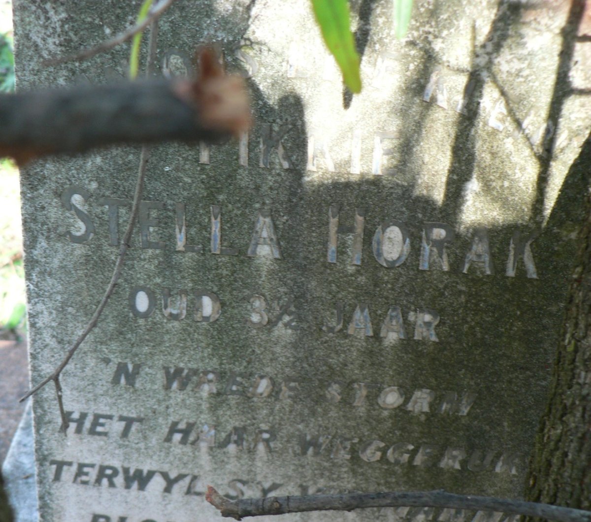 HORAK Stella
