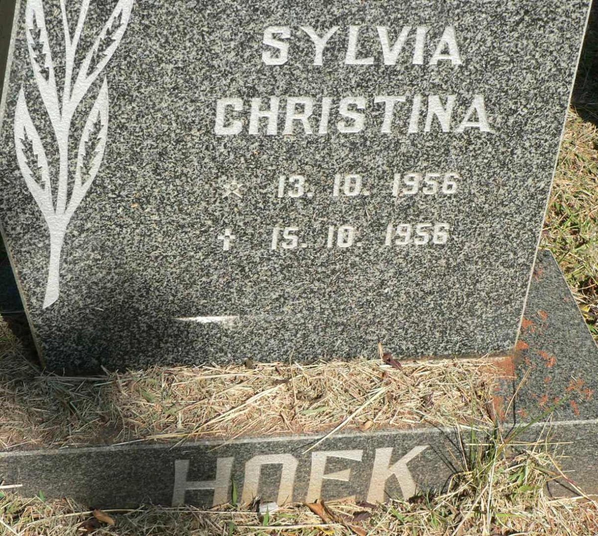 HOEK Sylvia Christina 1956-1956