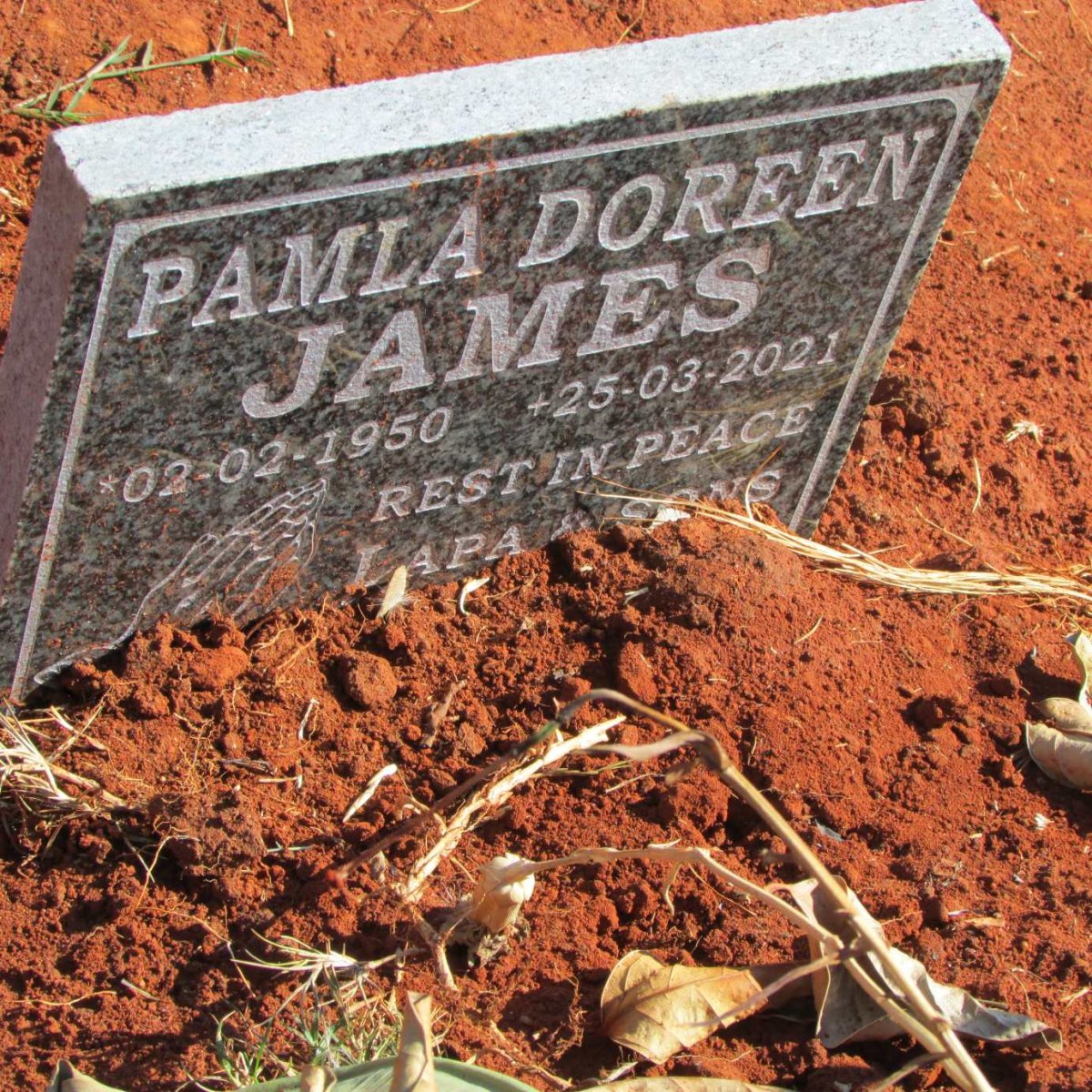JAMES Pamela Doreen 1950-2021