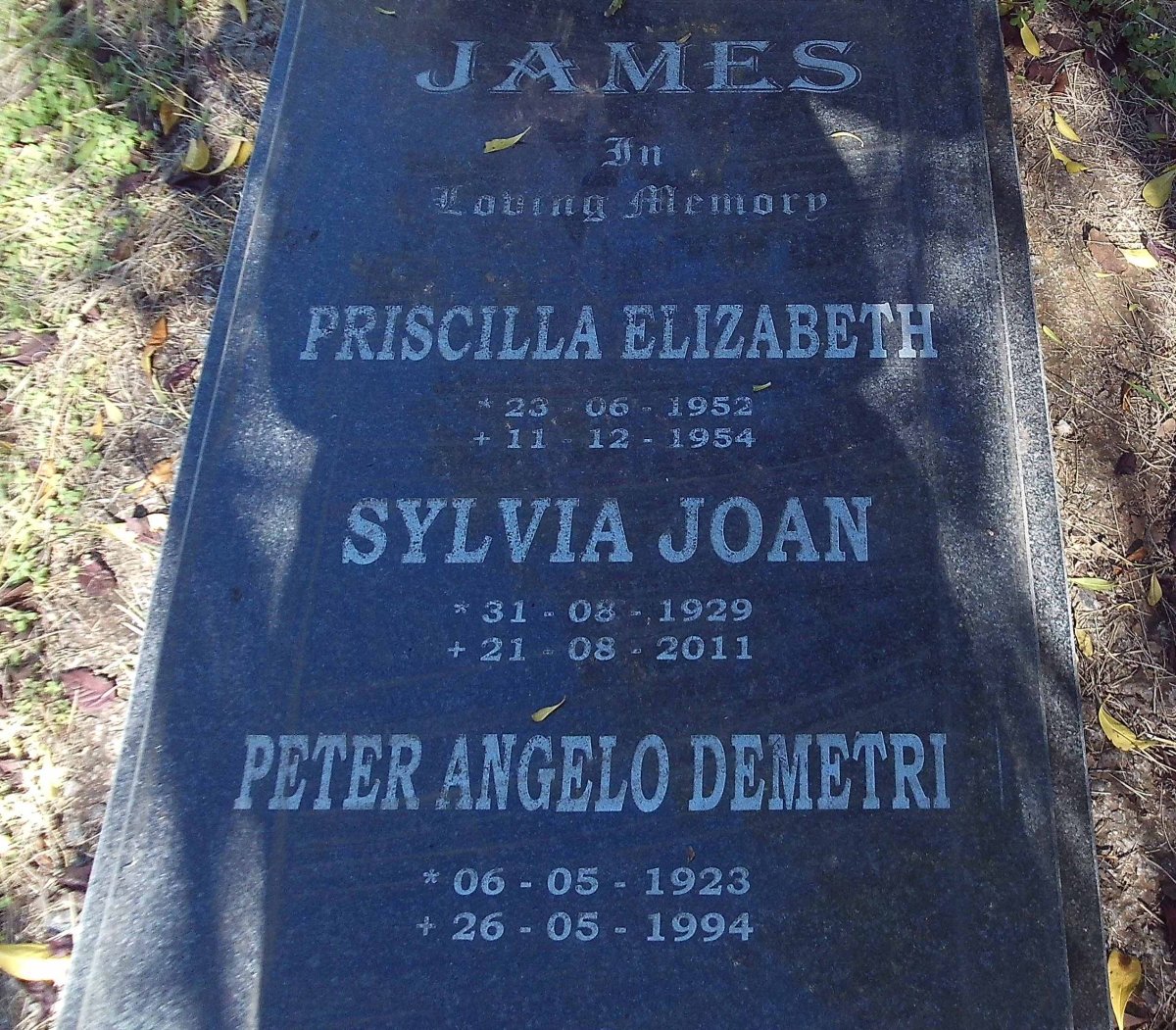 JAMES Peter Angelo Demetri 1923-1994 &amp; Sylvia Joan 1929-2011 :: JAMES Priscilla Elizabeth 1952-1954