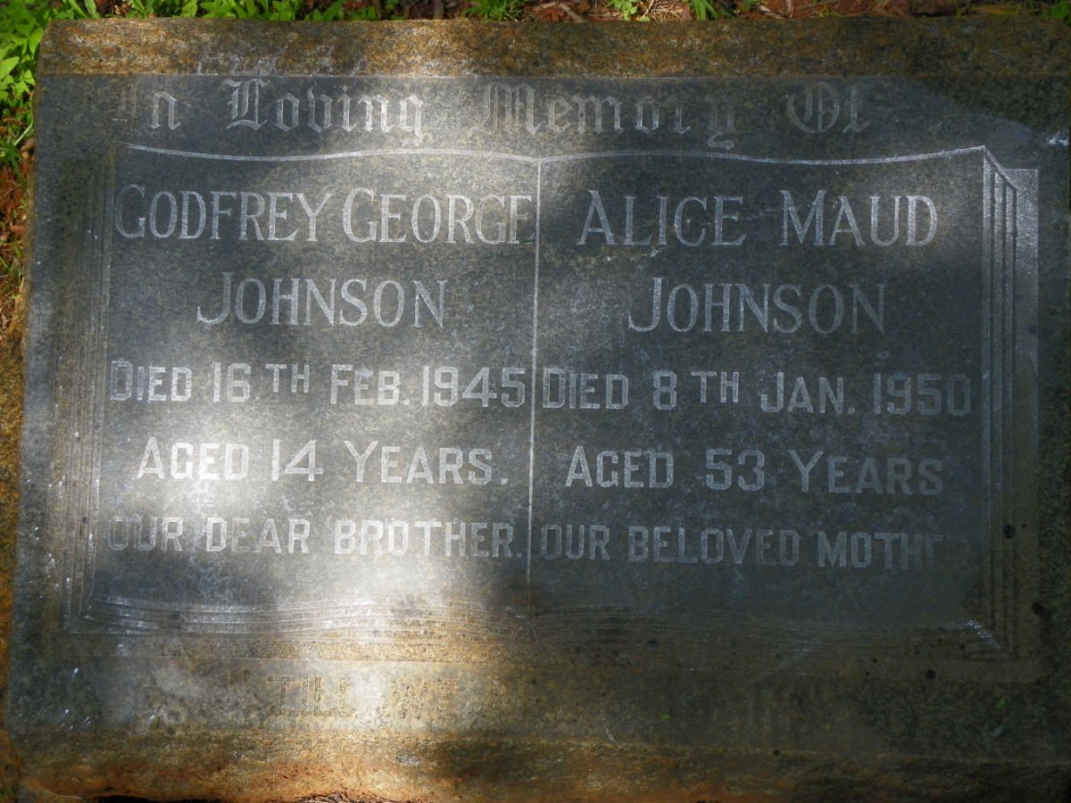 JOHNSON Alice Maud -1950 :: JOHNSON Godfrey George -1945