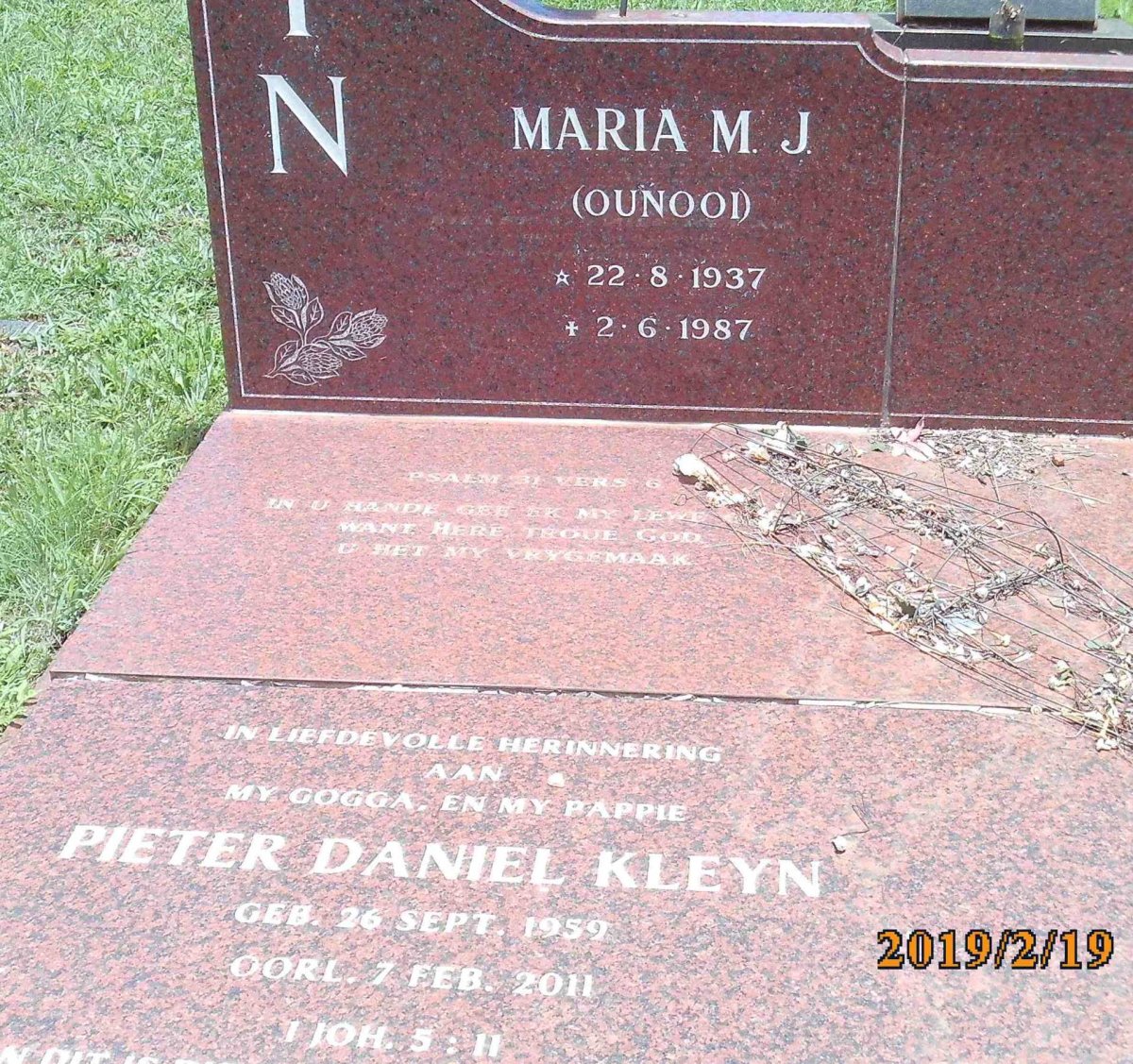 KLEYN Maria M.J. 1937-1987 :: KLEYN Pieter Daniel 1959-2011