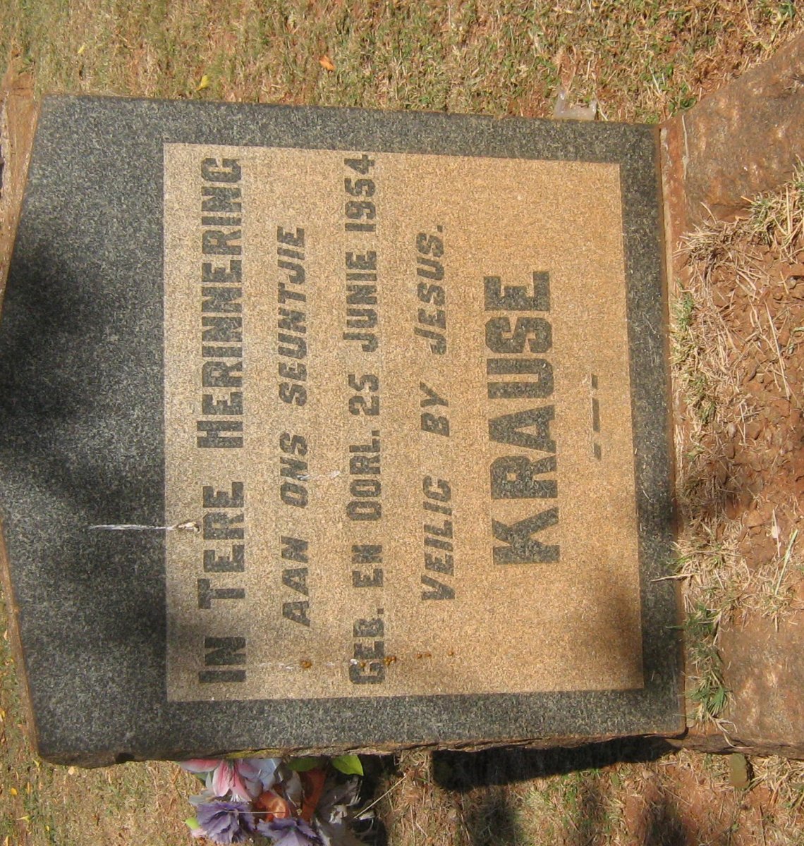 KRAUSE 1954-1954