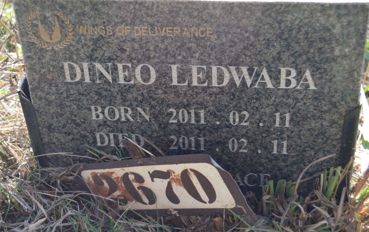 LEDWABA Dineo 2011-2011