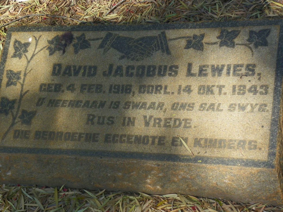 LEWIES David Jacobus 1916-1943