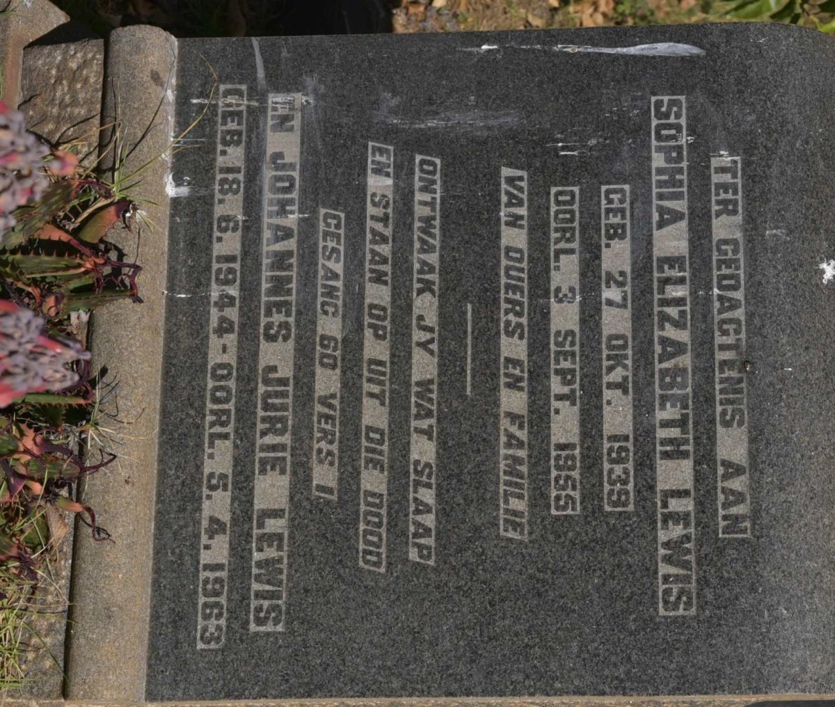 LEWIS Johannes Jurie 1944-1963 &amp; Sophia Elizabeth 1939-1955