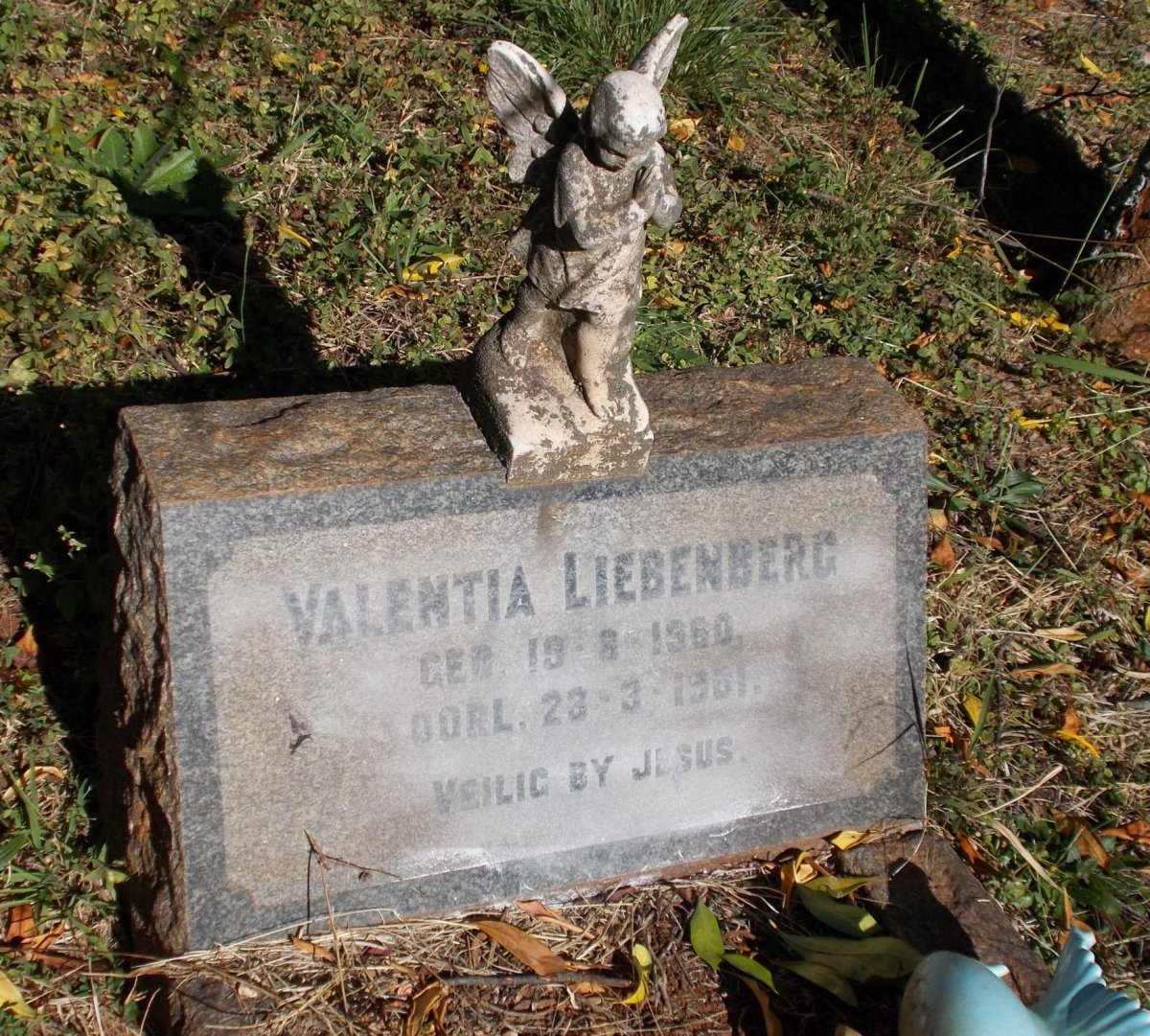 LIEBENBERG Valentia 1960-1961