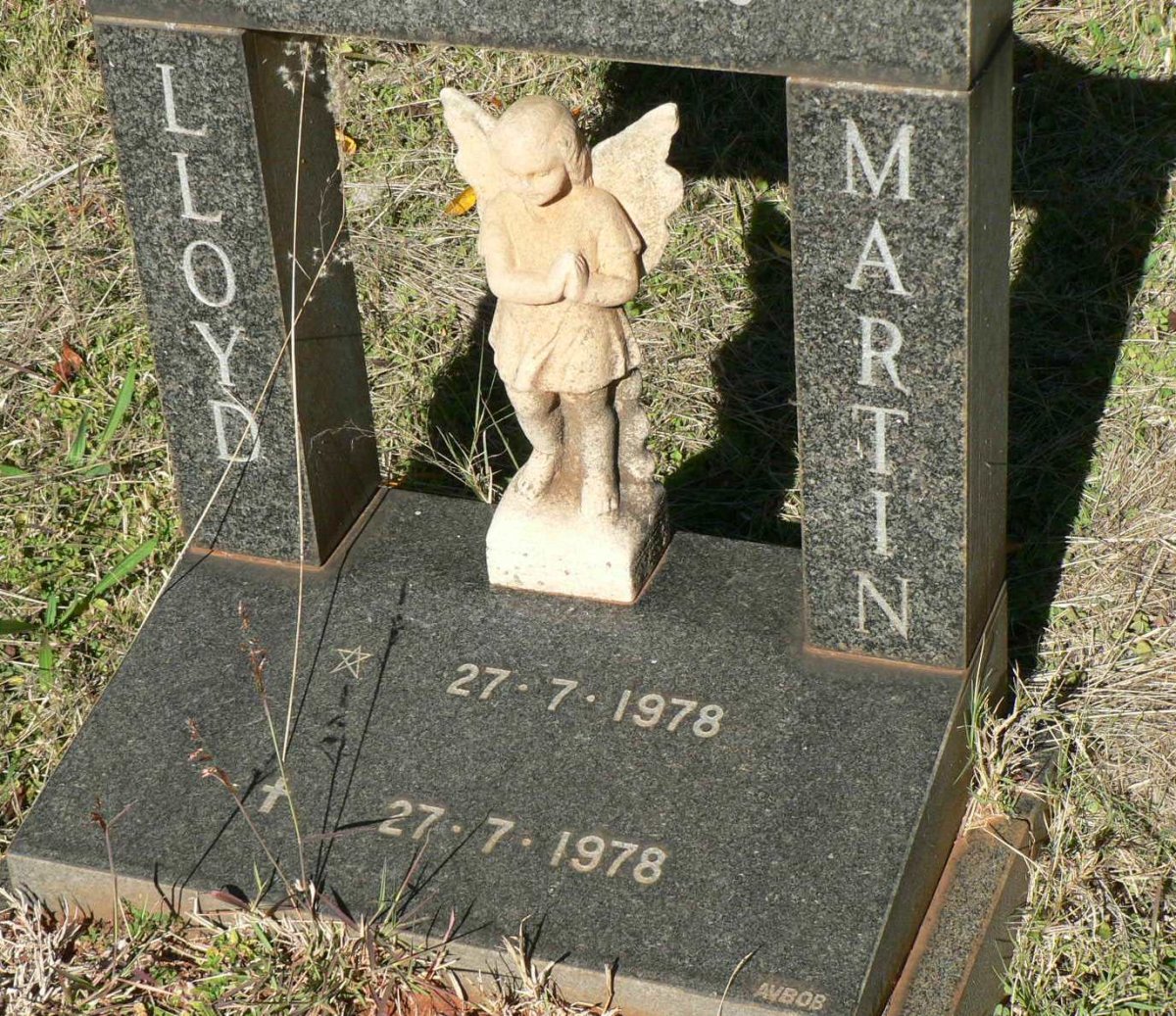 LLOYD Martin 1978-1978