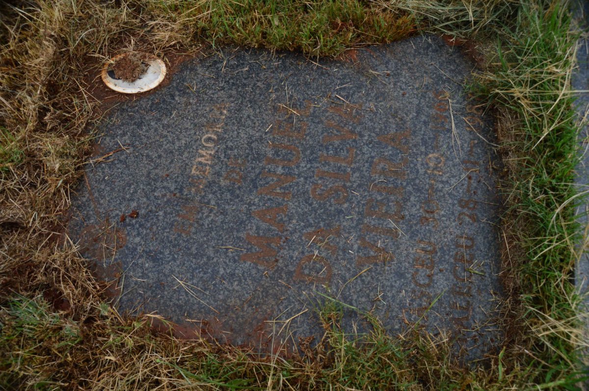 LUZ Manuel Da Silva Vieira, da 1966-1987