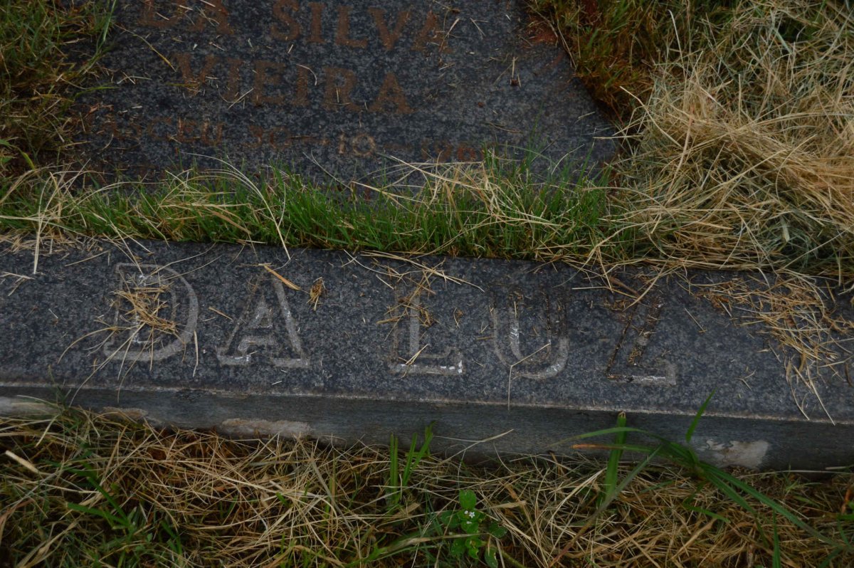 LUZ Manuel Da Silva Vieira, da 1966-1987