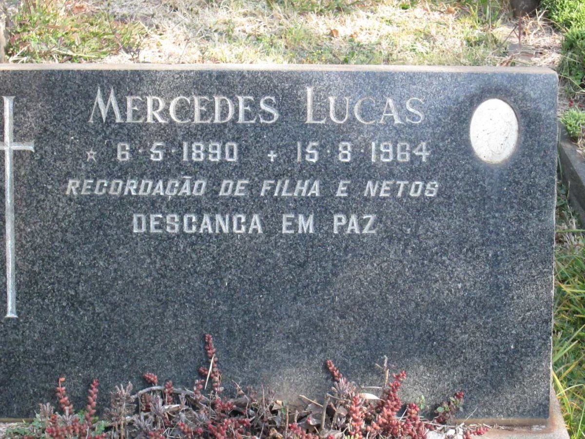 LUCAS Mercedes 1890-1964
