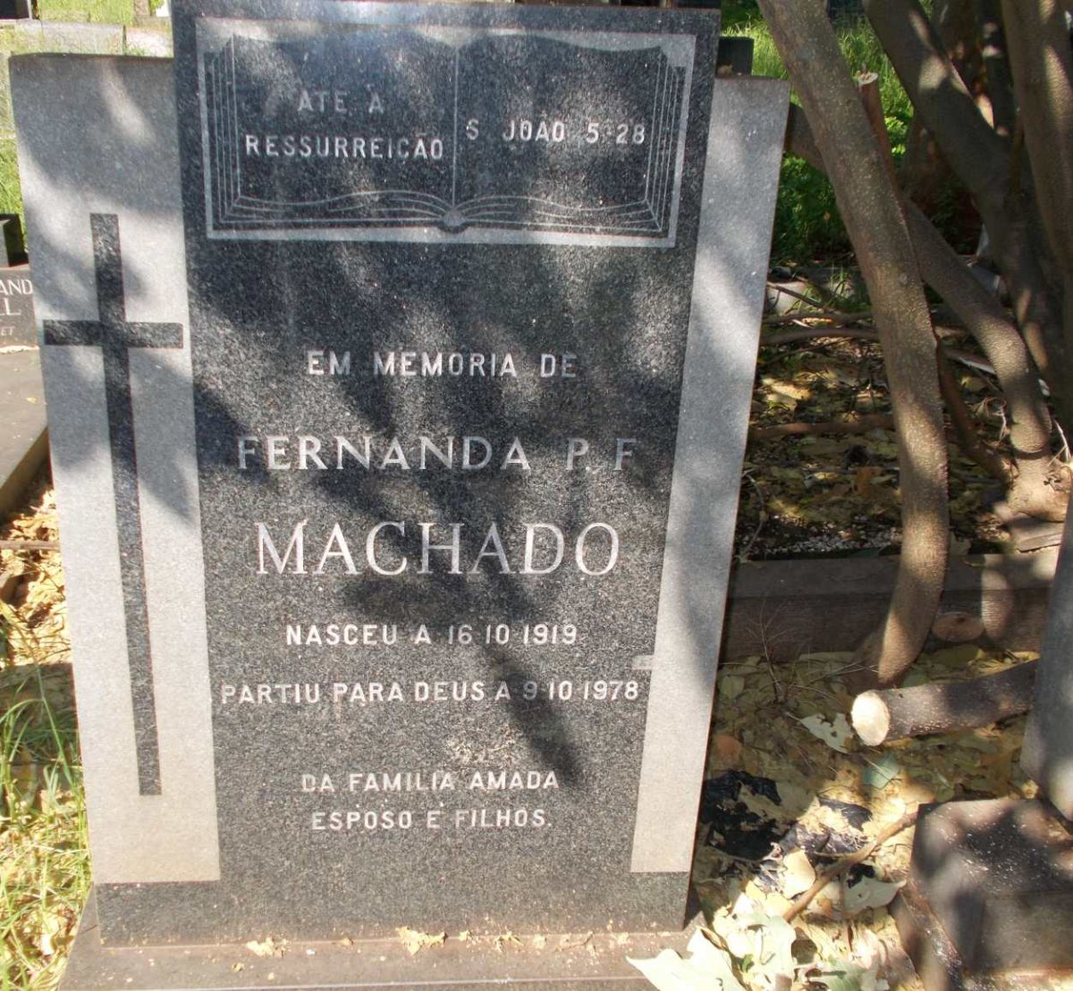 MACHADO Fernanda P.F. 1919-1978