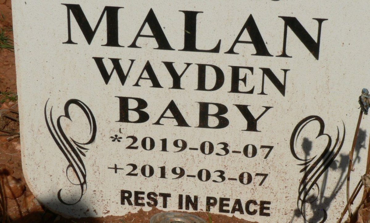 MALAN Wayden 2019-2019