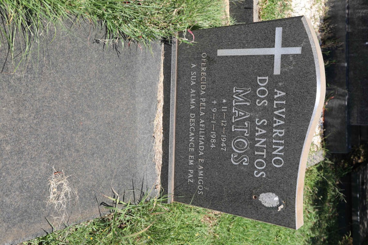 MATOS Alvarino dos Santos 1947-1984