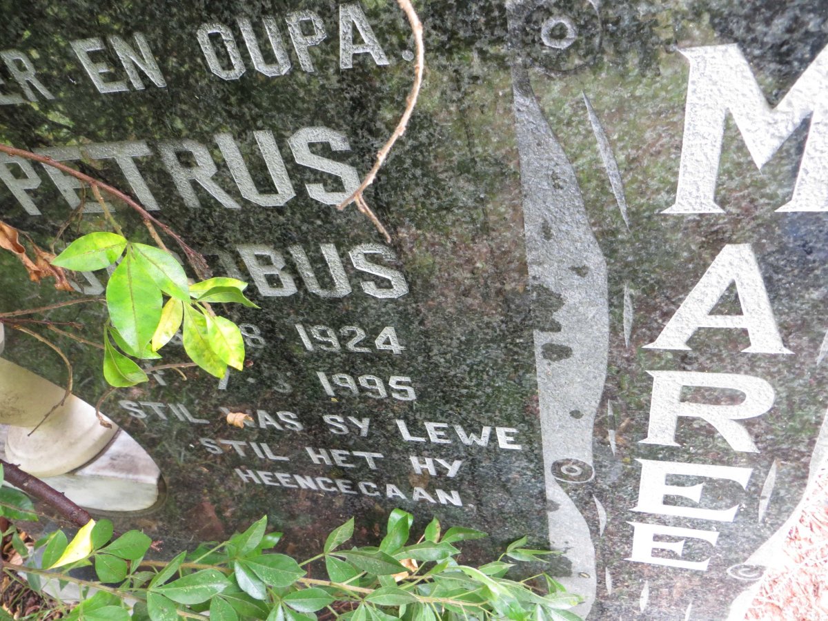MAREE Petrus Jacobus 1924-1995