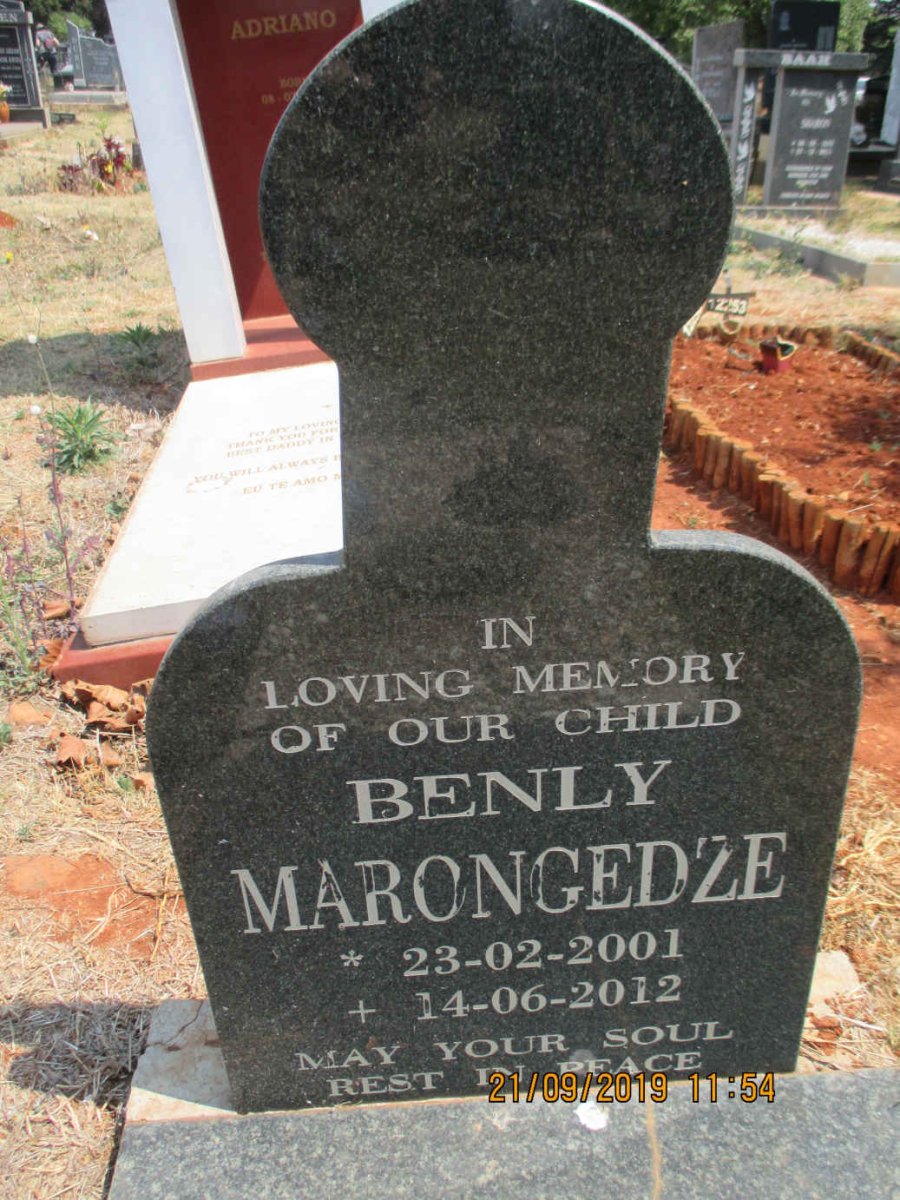 MARONGEDZE Benly 2001-2012
