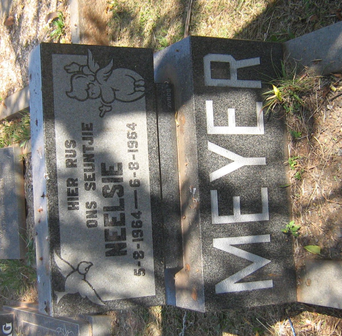 MEYER Neelsie 1964-1964