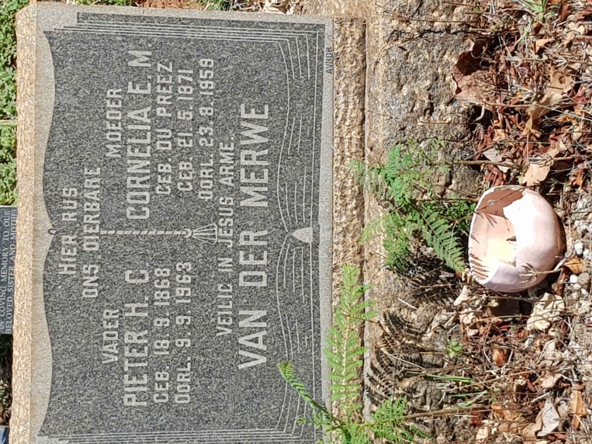 MERWE Pieter H.C., van der 1868-1963 &amp; Cornelia E.M. DU PREEZ 1871-1959