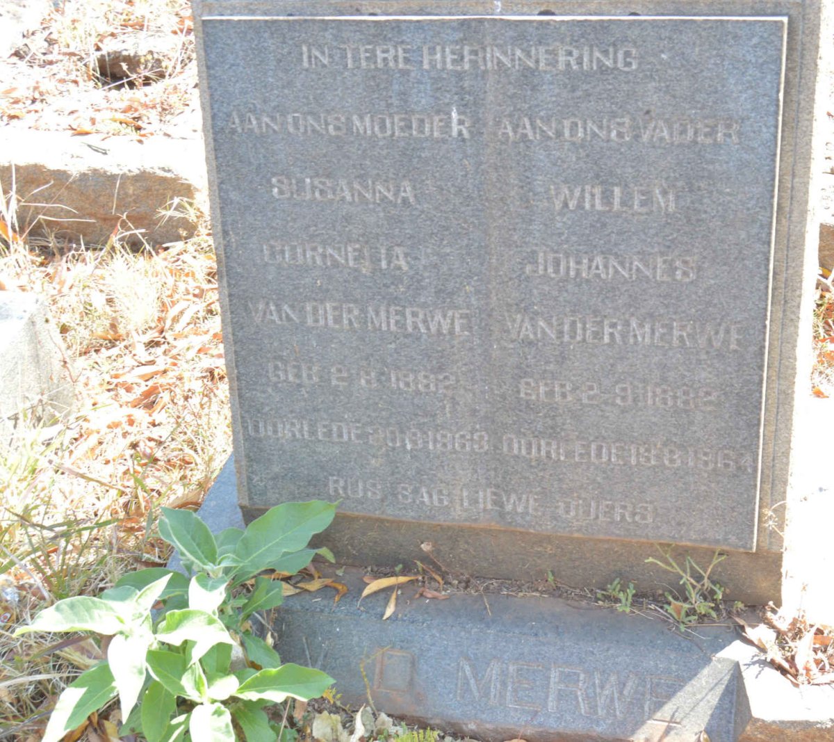 MERWE Willem Johannes, van der 1882-1964 &amp; Susanna Cornelia 1892-1963