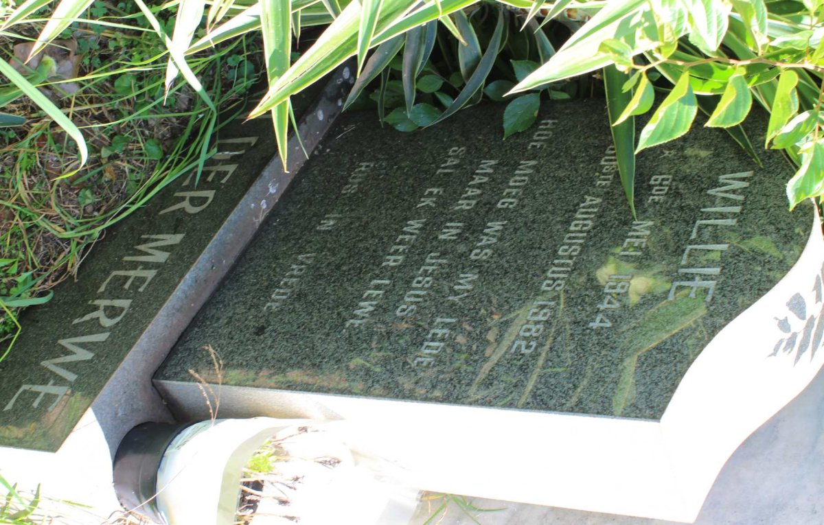 MERWE Willie, van der 1944-1982