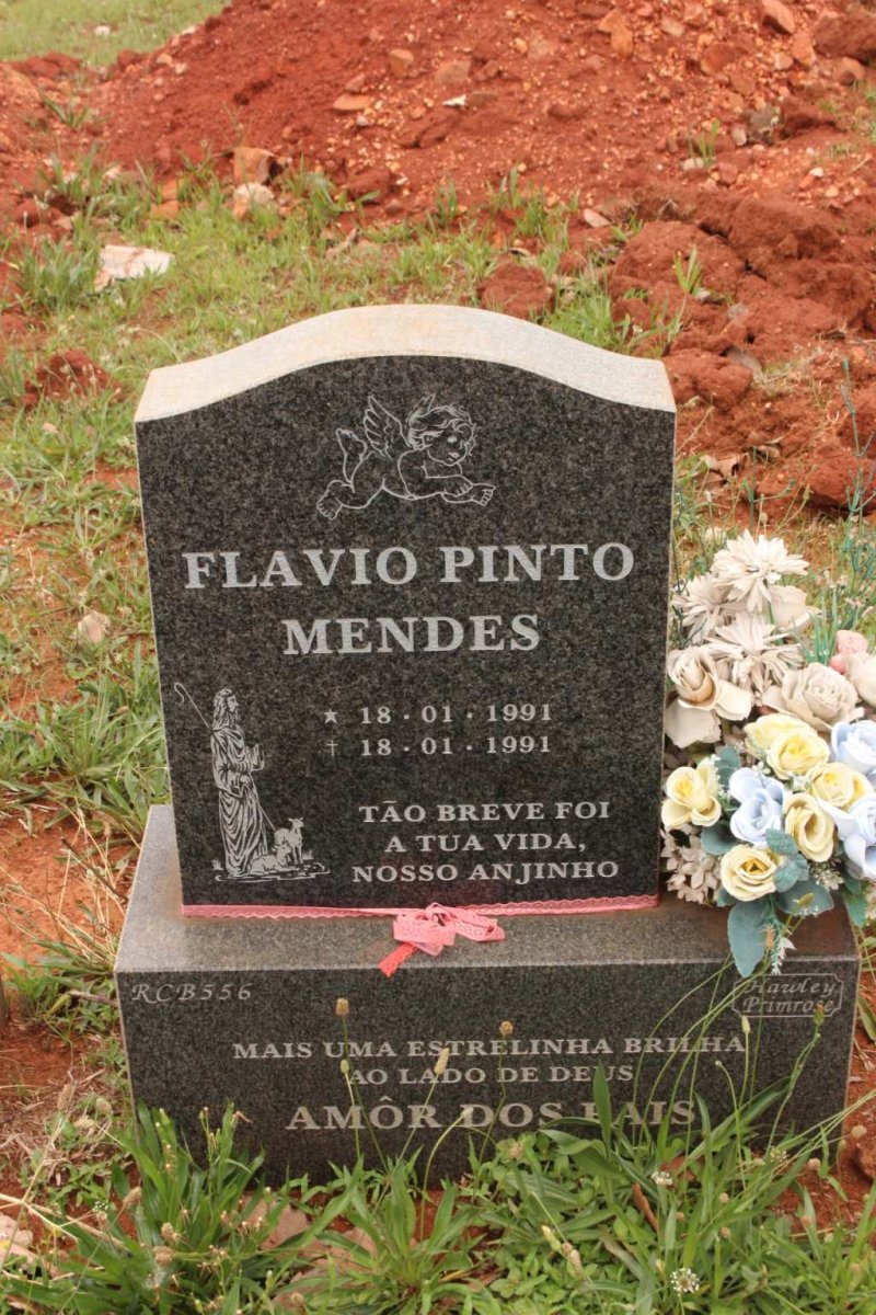 MENDES Flavio Pinto 1991-1991