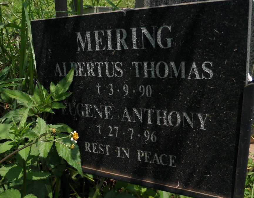 MEIRING Albertus Thomas -1990 :: MEIRING Eugene Anthony -1996