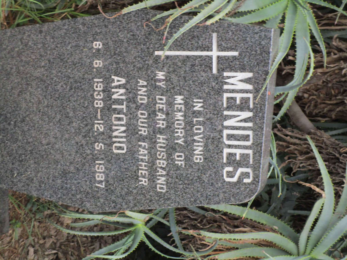 MENDES Antonio 1938-1987