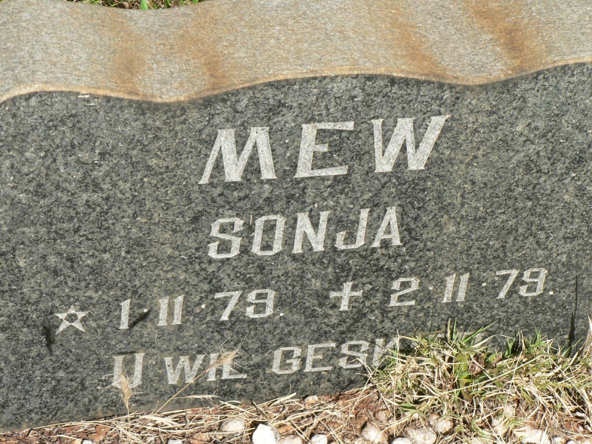 MEW Sonja 1979-1979