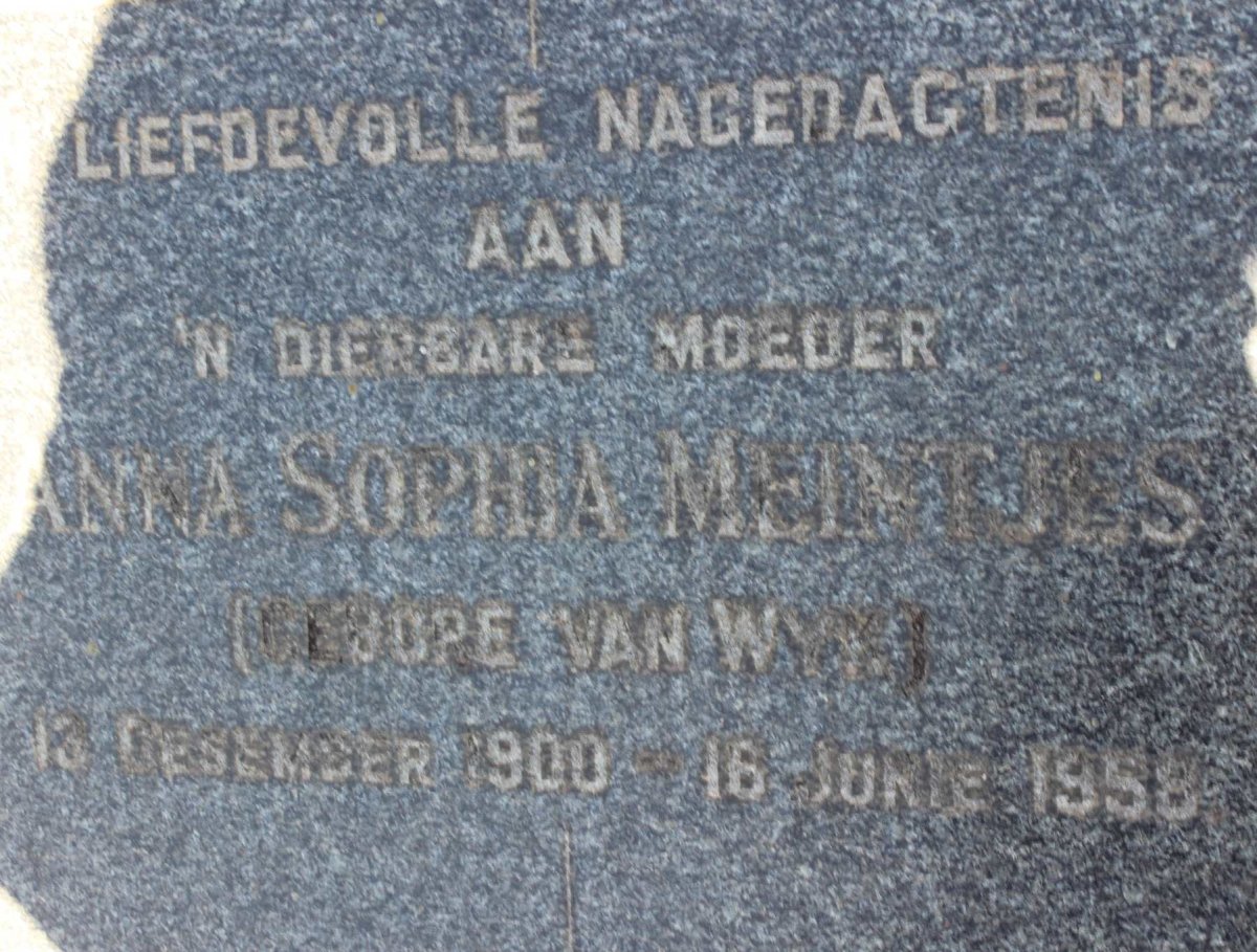 MEINTJES Anna Sophia nee VAN WYK 1900-1958