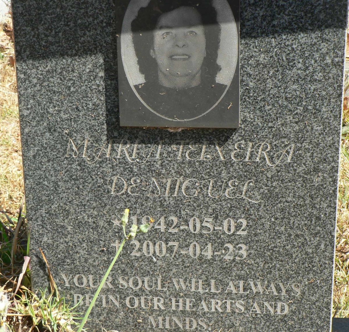 MIGUEL Maria Teixeira, de 1942-2007