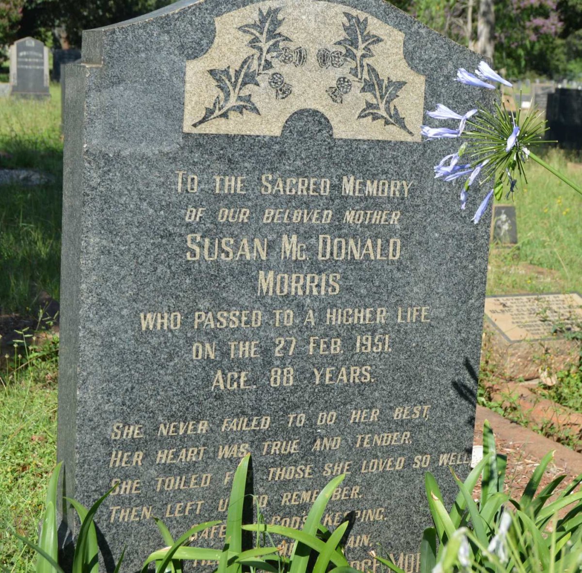MORRIS Susan McDonald -1951