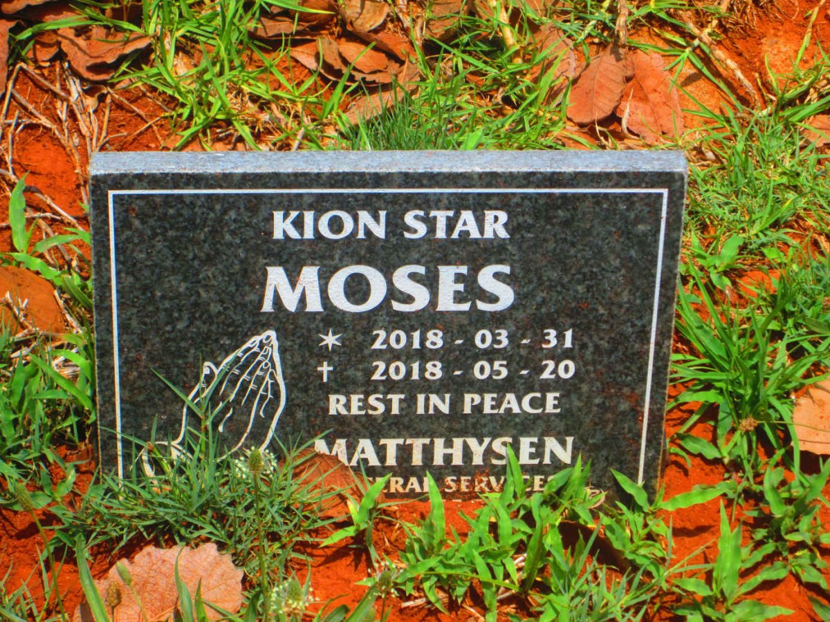 MOSES Kion Star 2018-2018
