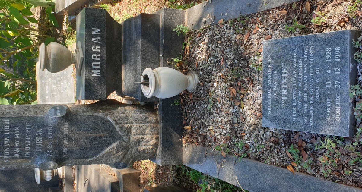 MORGAN 1924-1966 :: Trixie 1928-1998