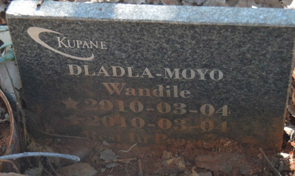 MOYO Wandile, DLADLA 2010-2010