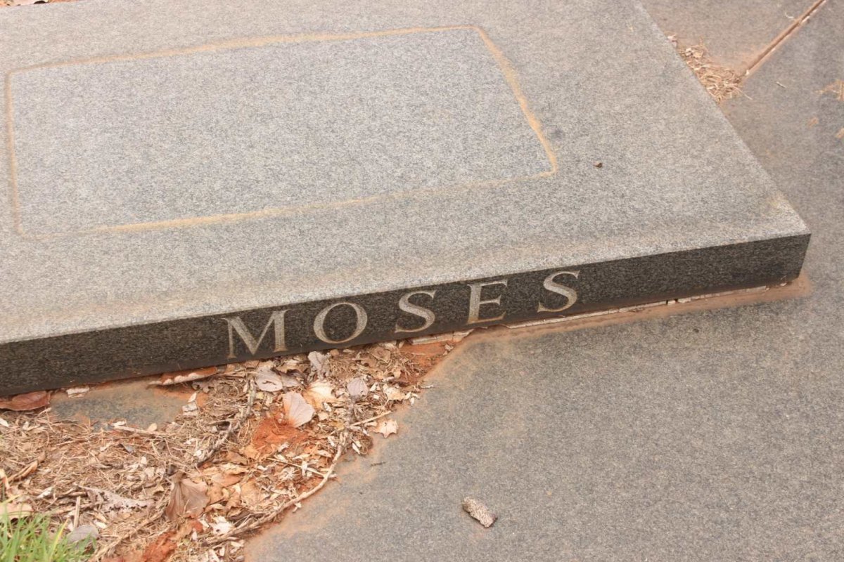 MOSES Almaza -1989 :: MOSES Rita -1982 :: MOSES Badwa -1991