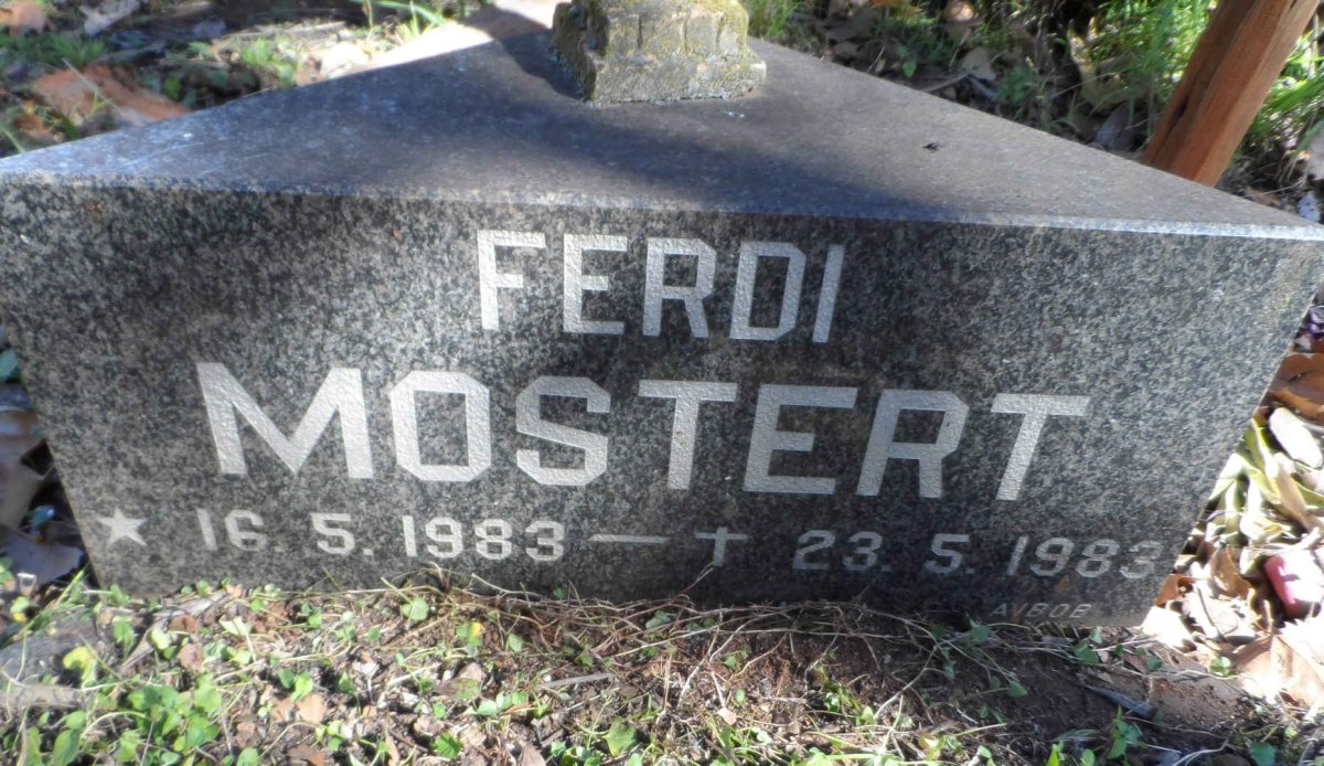 MOSTERT Ferdi 1983-1983