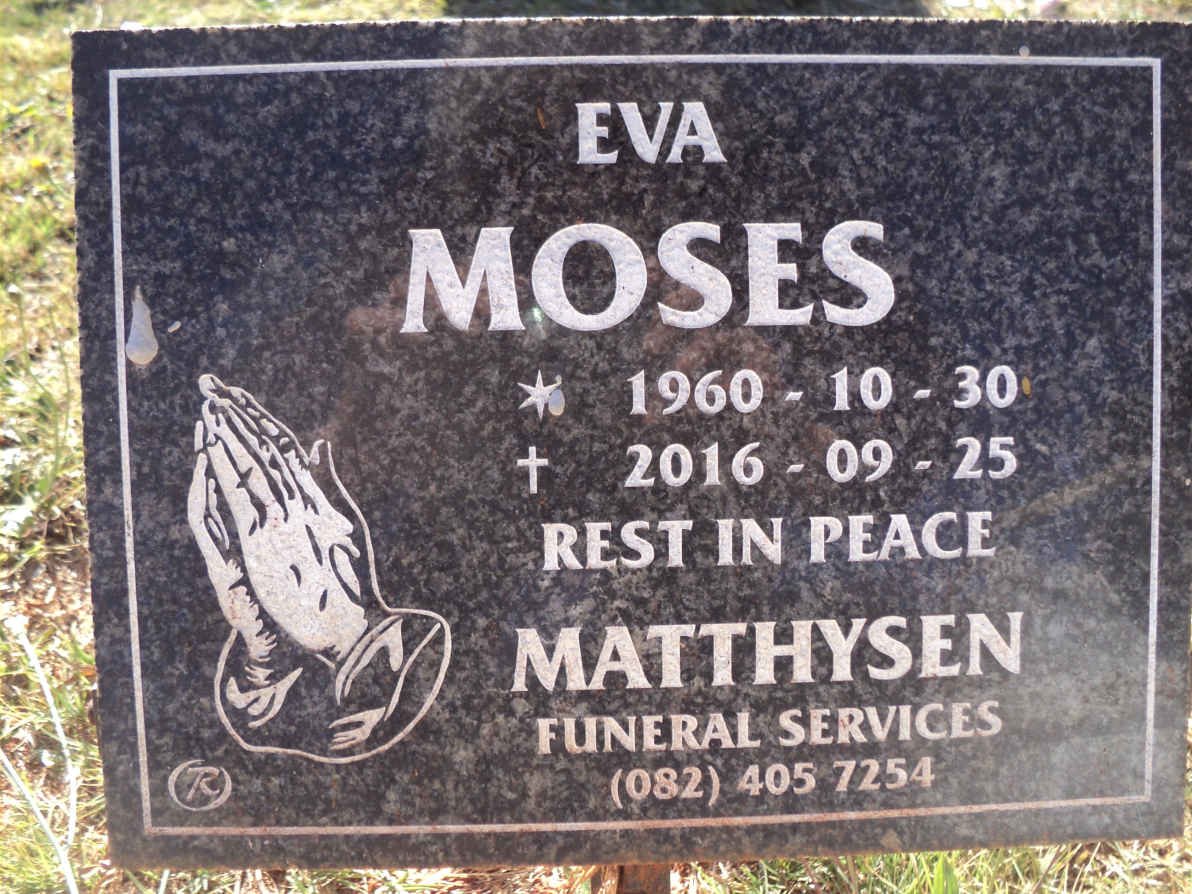 MOSES Eva 1960-2016